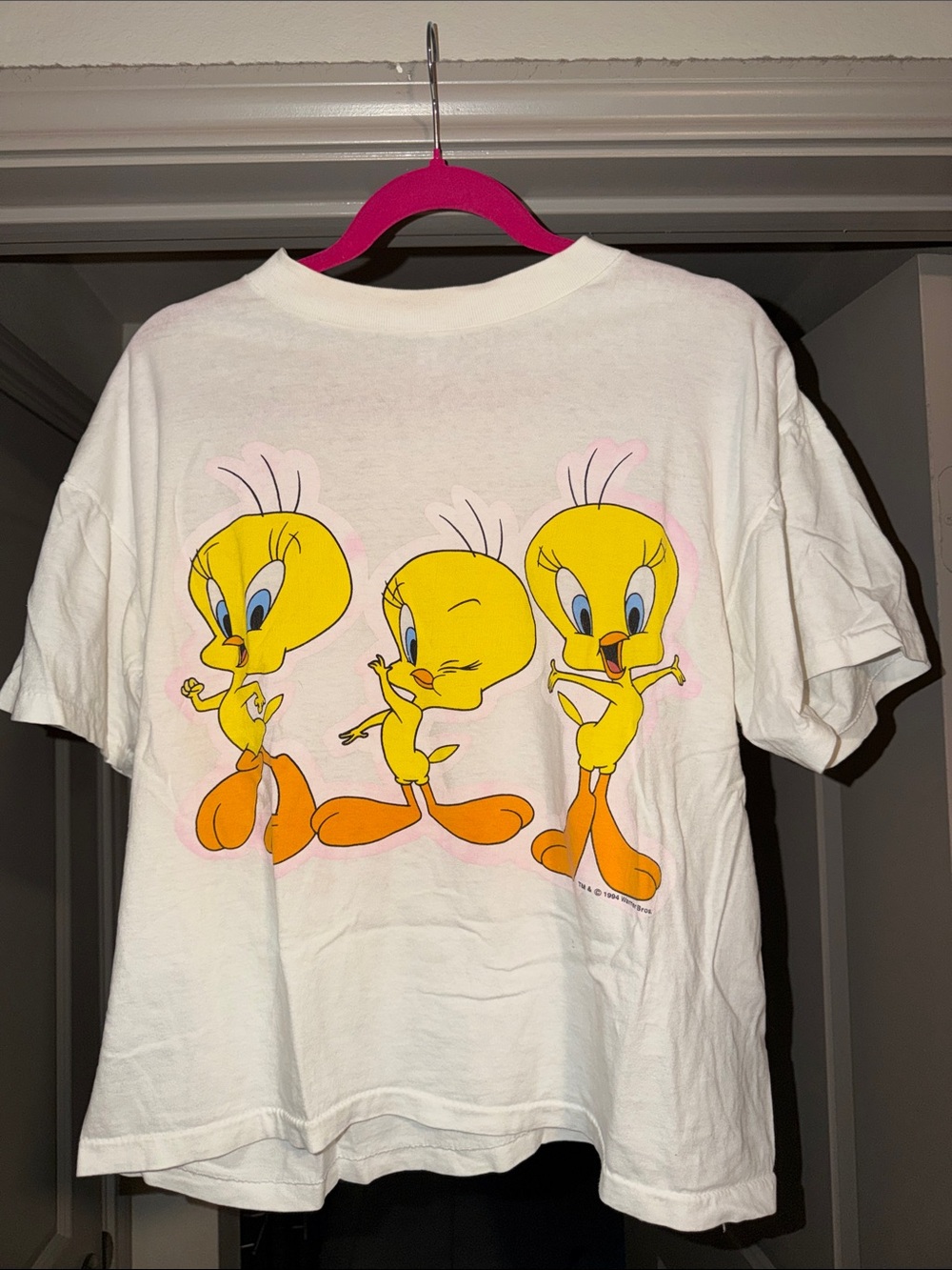 White Tweety Graphic Short Sleeve Tee - Women's